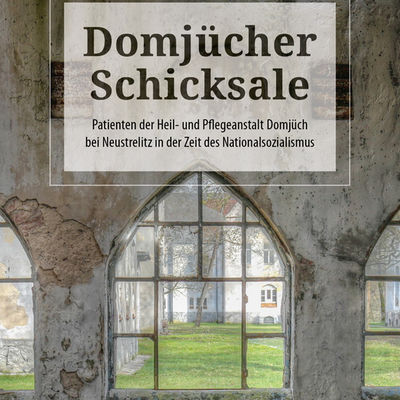 Cover Domjcher Schicksale
